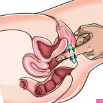 Squirting Orgasm: What It Is How It Feels Tips To Make It Happen