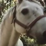 Seremis XXX Porn Videos: XXX 2026 6