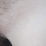 Up close eating big hairy pussy and sucking on her juicy pussy lips.