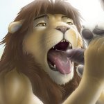 Rule 34