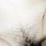 La Mejor Pajina Porno Porn Videos: Full HD 1080p XXX 2026