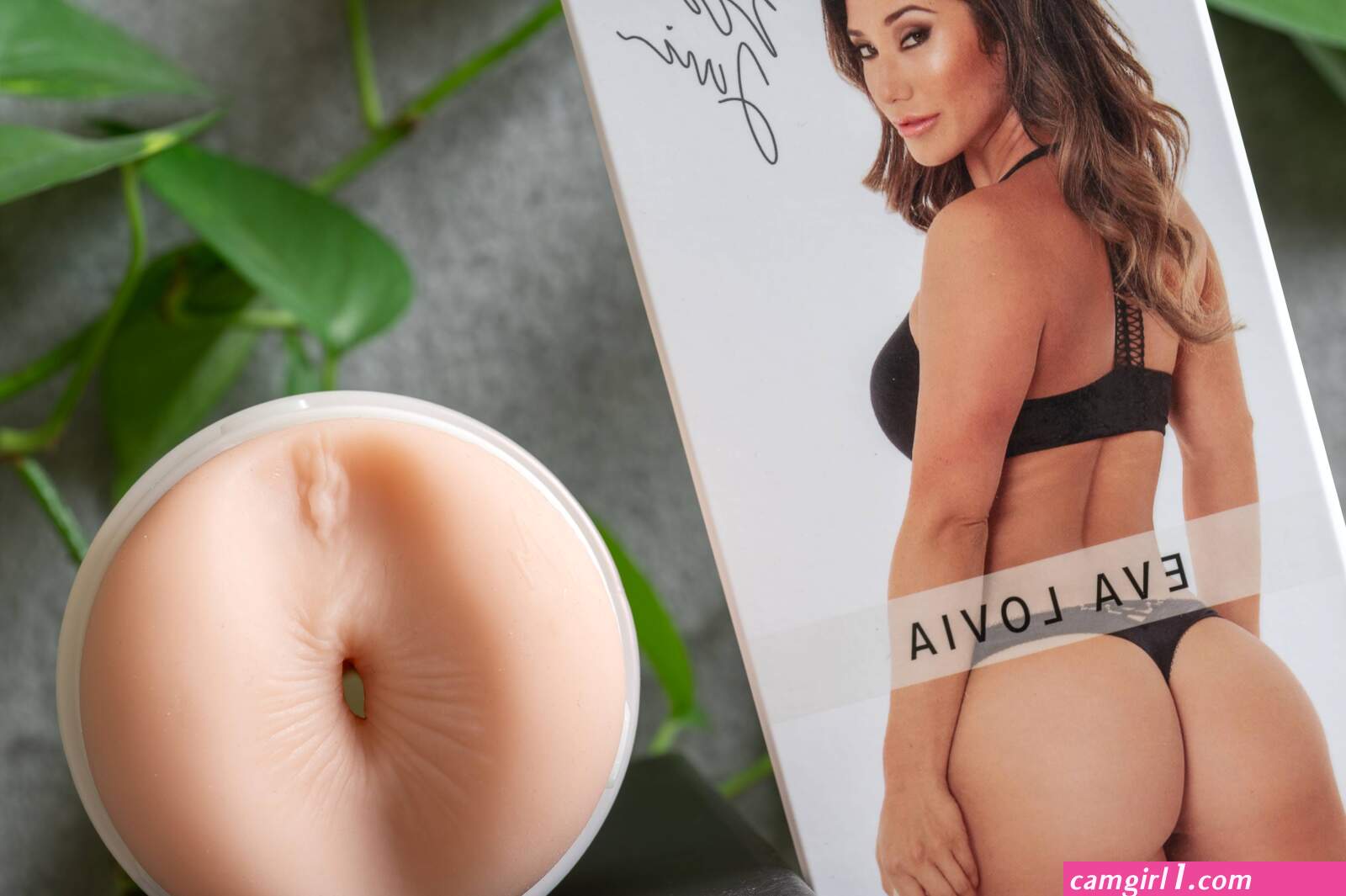 Eva lovia dildo (photos)
