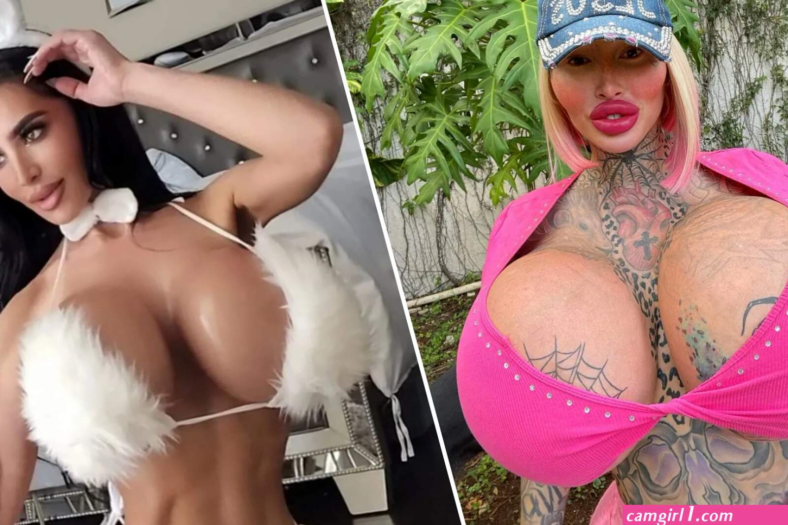 Onlyfans tribute (photos)