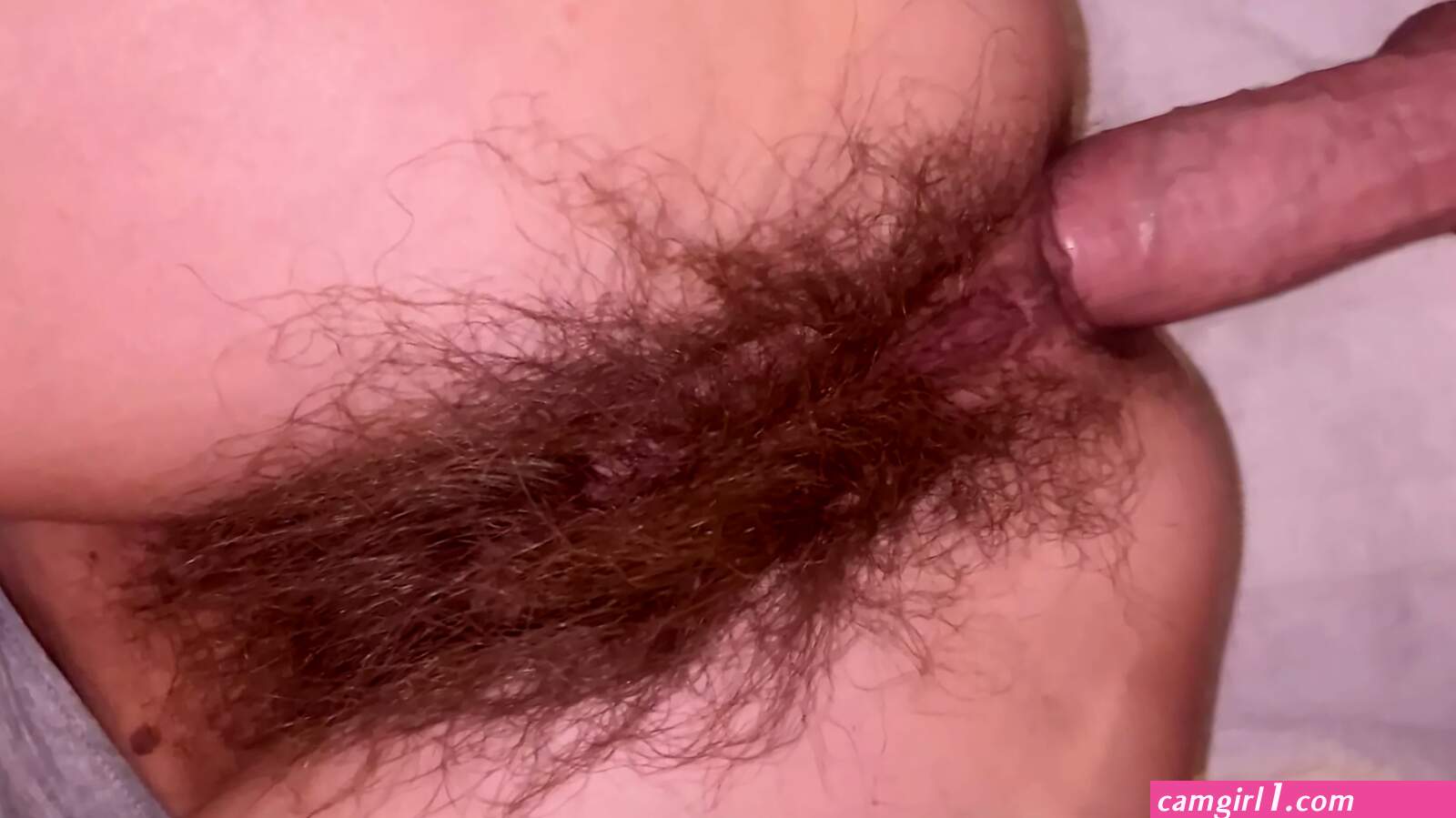 Retro hairy anal (photos)