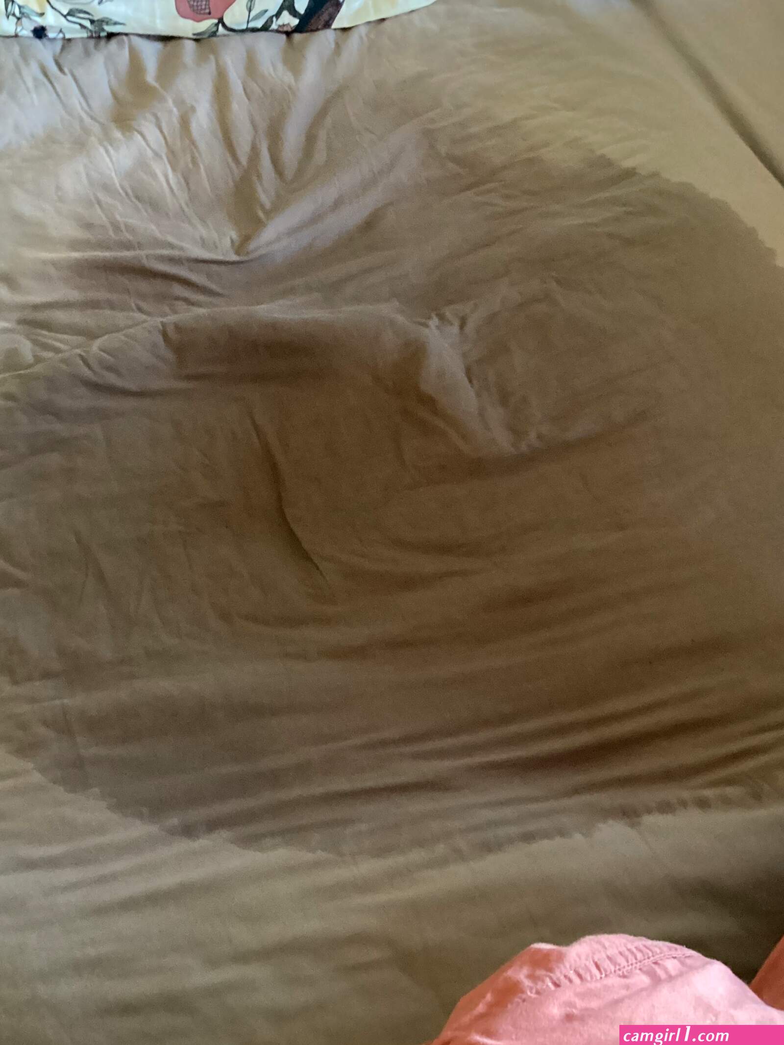 Wet squirt on bed (photos)