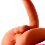 : Sexflesh Male Torso 2-in-1 Sex Doll: Realistic Life-Size Silicone Dildo Rider for Men Women Couples : Health Household