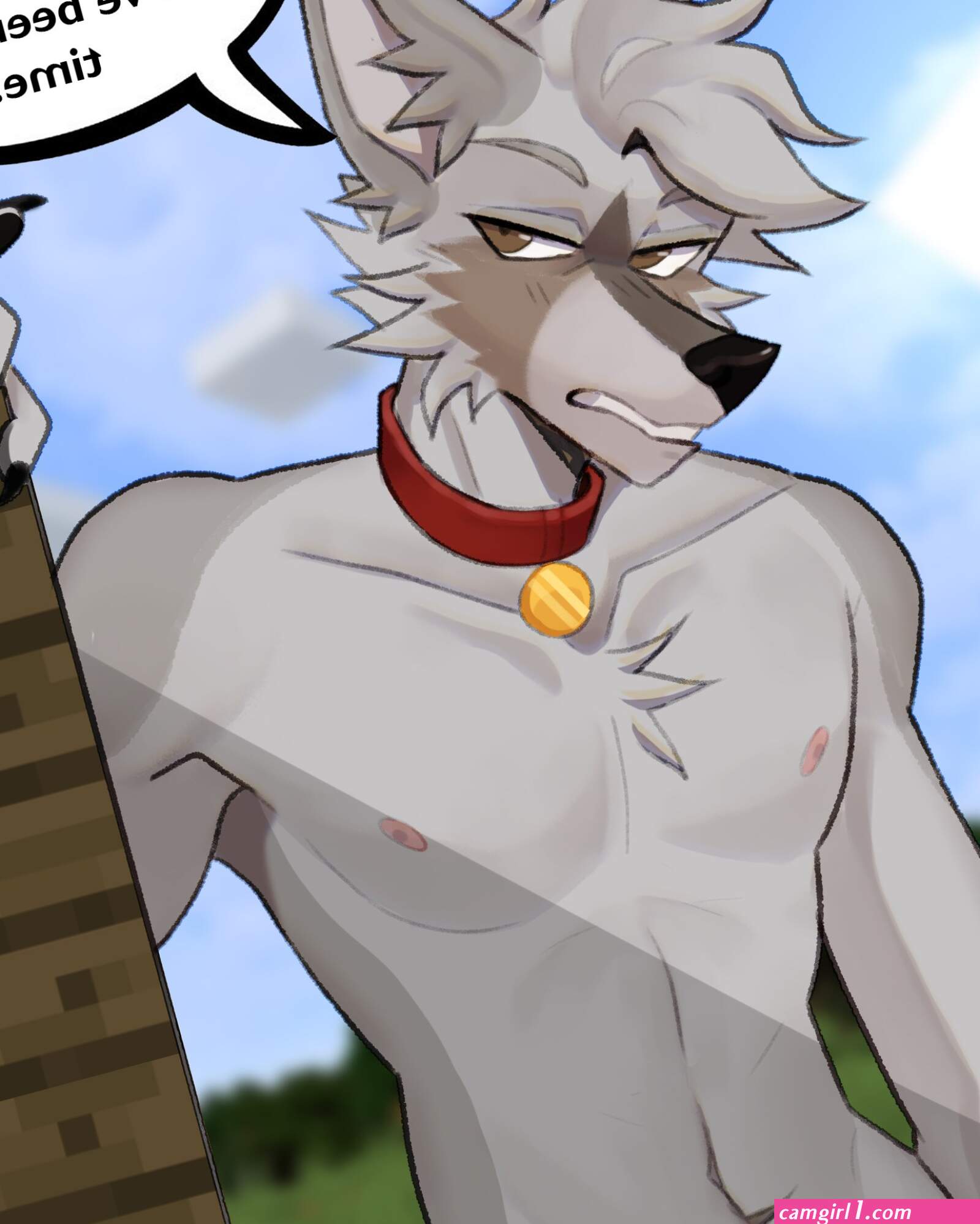 Wolf furry porno (photos)